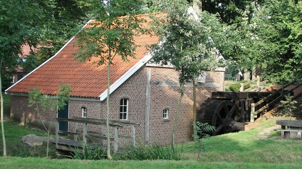 Die Schonevelds Mühle in Wilsum